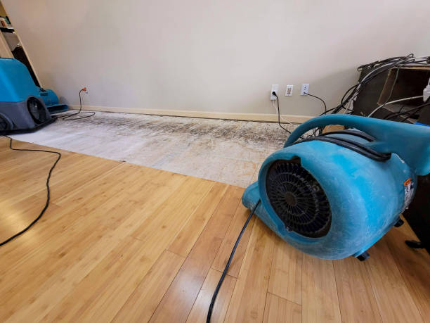 Professional Water Removal technician working in Biddeford, ME